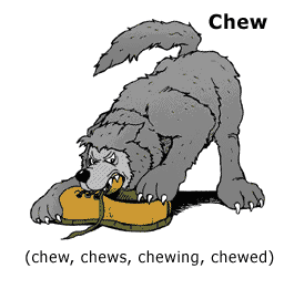 illustration for section: chew