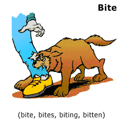 illustration for section: bite